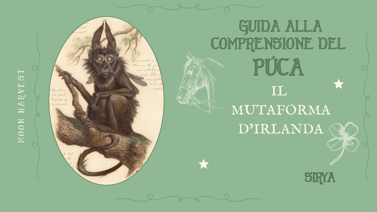 Guida alla comprensione del Púca: il mutaforma&nbsp;d’Irlanda
