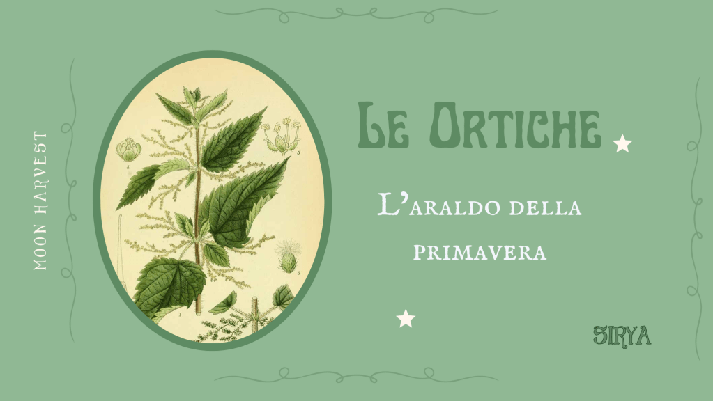 Le Ortiche